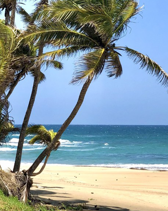 Healing Retreat in Puerto Rico